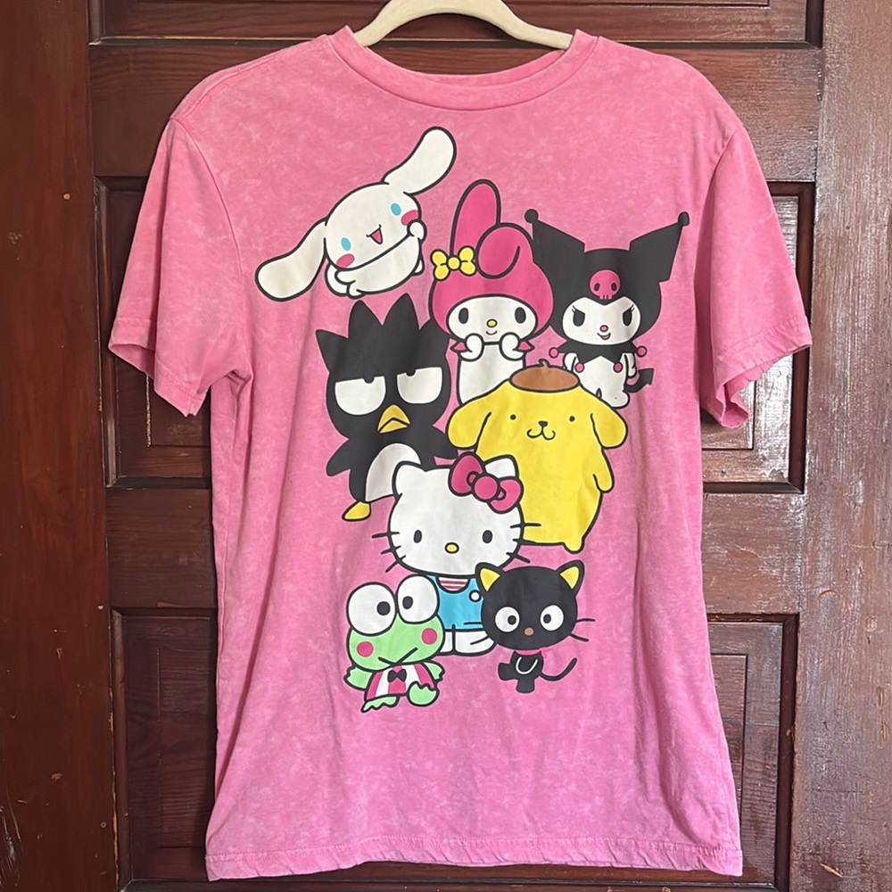 Hello Kitty & Friends